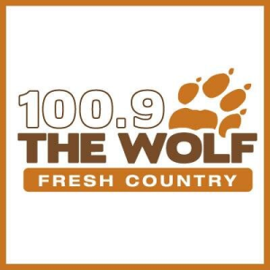 WPGI Logo