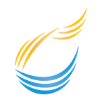 WVSG Logo