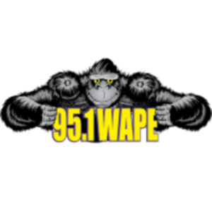 WAPE Logo